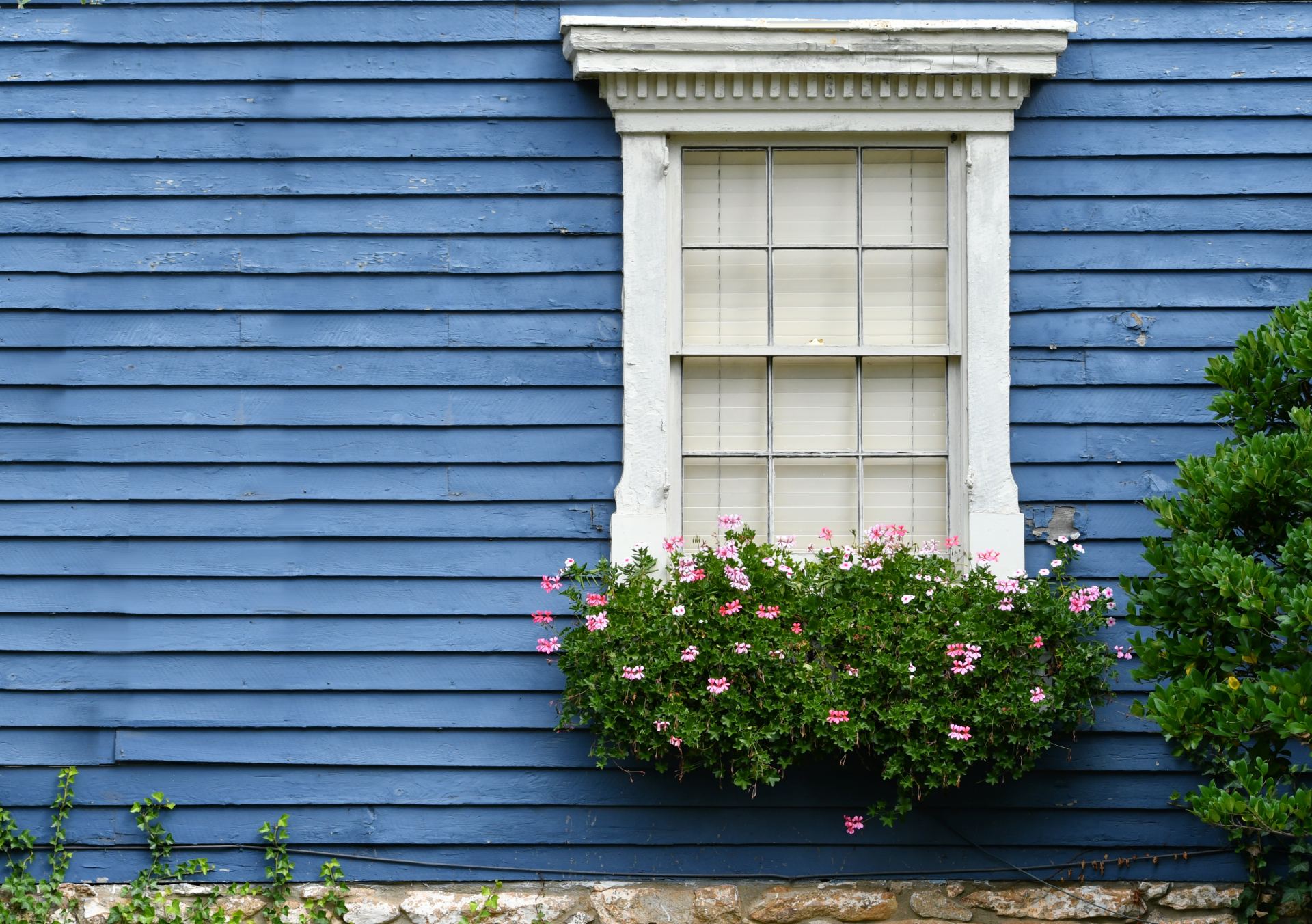 The Ultimate Guide to Window and Siding Pairings