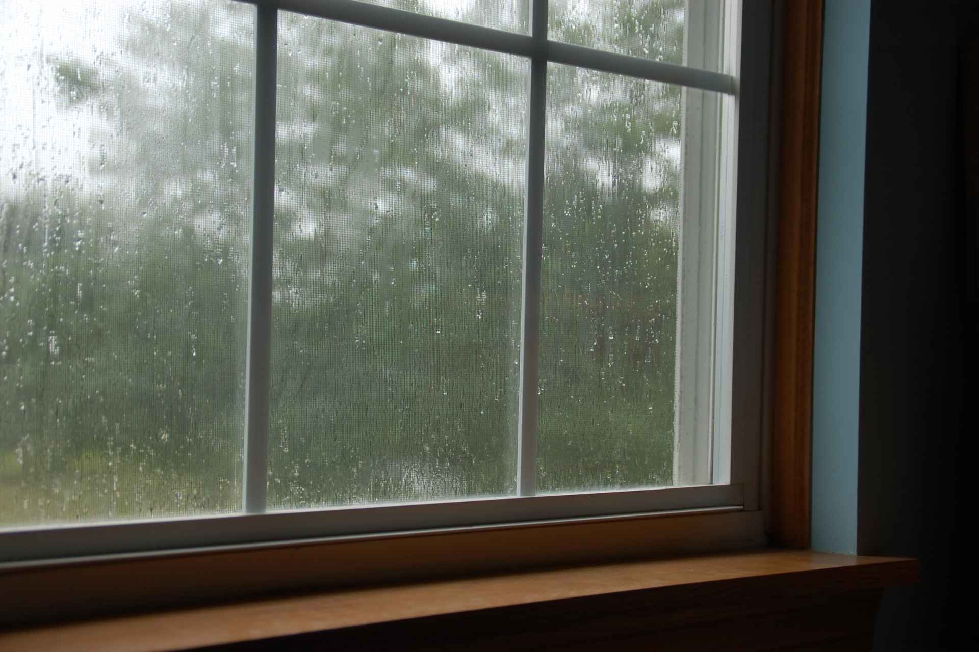 Close-up of rain droplets on a wet window frame showing drafty seal vulnerabilities.